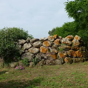 Alloggio per agriturismo Nuragh'elighe Italia